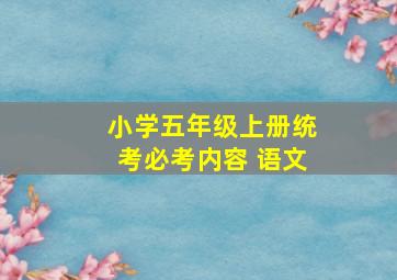 小学五年级上册统考必考内容 语文